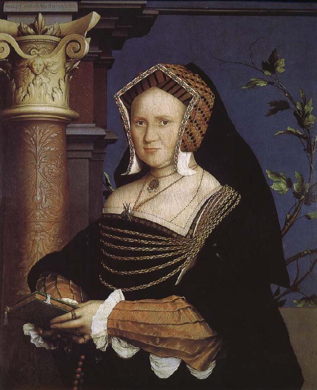 Hans Holbein Ms. Gaierfude oil painting image